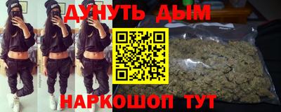 гидра Пенза