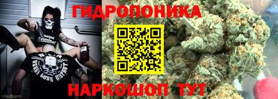 твердый Партизанск
