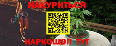 гидра Пенза