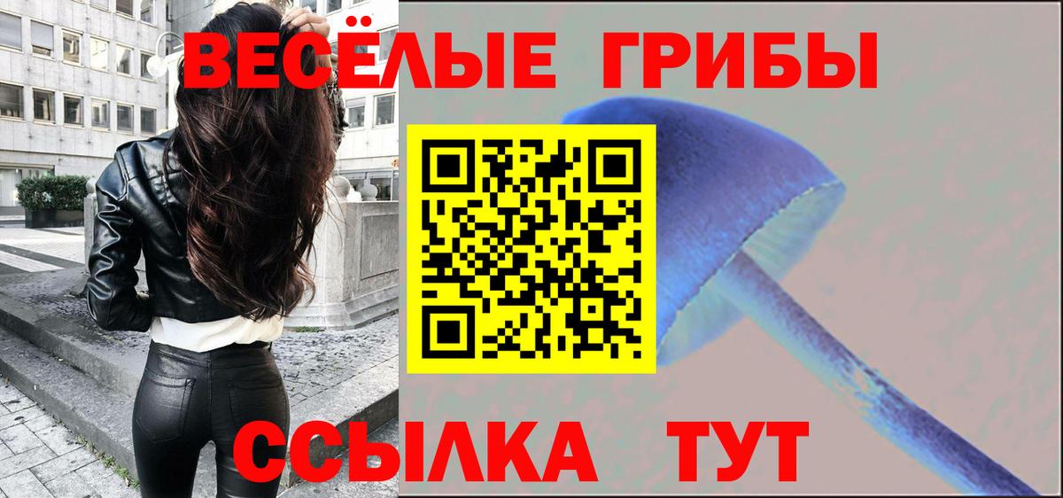 Псилоцибиновые грибы MAGIC MUSHROOMS Борисоглебск