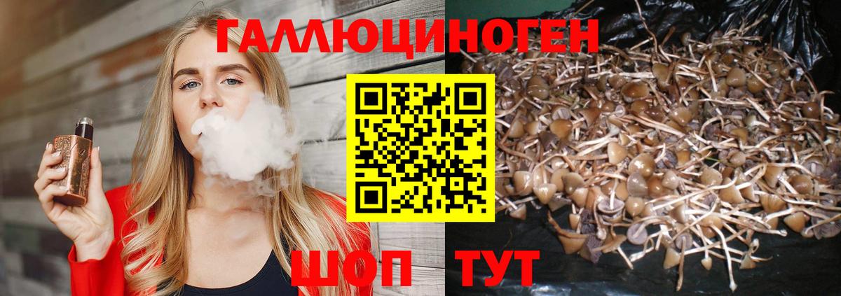 Борисоглебск  Псилоцибиновые грибы прущие грибы  Вход с VPN 